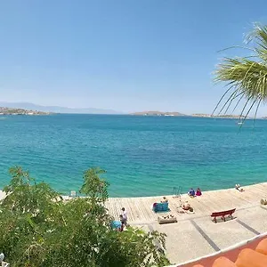Ayshe Turkey